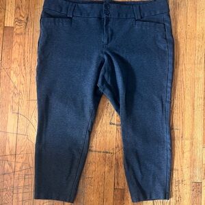 Pants Torrid Studio Grey 20R